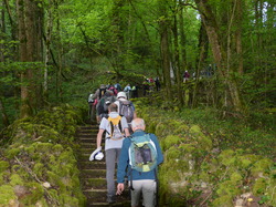journée à ARBOIS le 24 avril2018