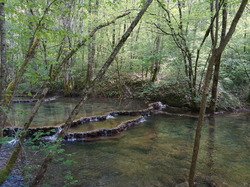 journée à ARBOIS le 24 avril2018
