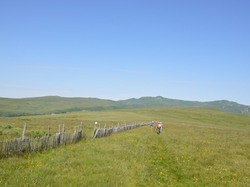 LIORAN 2025 22- Prat de Bouc (M)