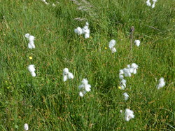 LIORAN 2025 22- Prat de Bouc (M)