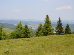 LIORAN 2025 22- Prat de Bouc (M)