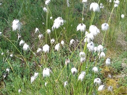 Praz sur Arly  du 24 juin au 1er juillet 2017