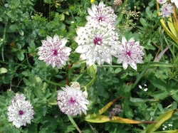 Praz sur Arly  du 24 juin au 1er juillet 2017