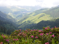 Praz sur Arly  du 24 juin au 1er juillet 2017