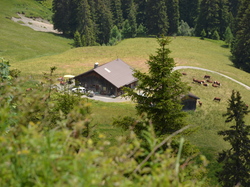 Praz sur Arly  du 24 juin au 1er juillet 2017