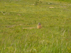 Praz sur Arly  du 24 juin au 1er juillet 2017