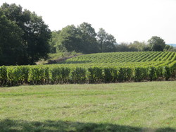 rando Plottes du 25 octobre 2016