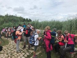 Saint Gildas de Rhuys juillet 2021