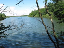 week-end du 2 et 3 juin 2018 lac du Der